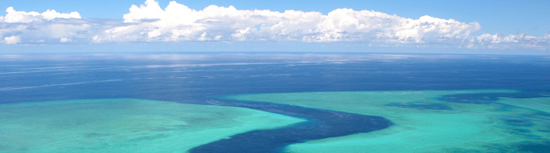 Les meilleurs spots de plongée à Mayotte : notre sélection